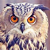 bubo's Avatar